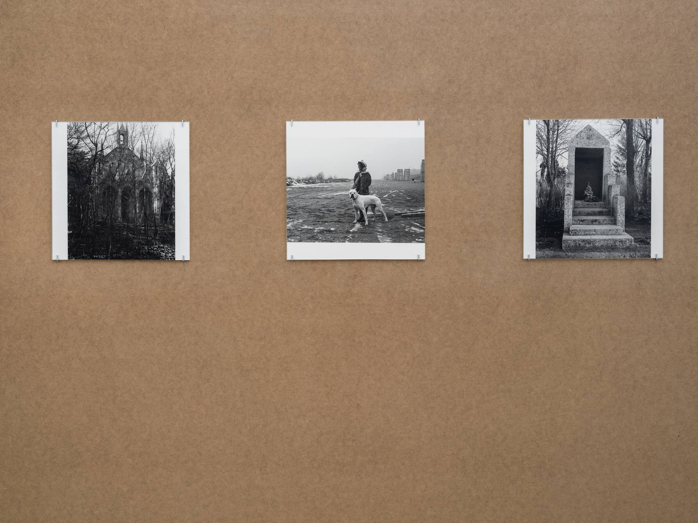 Drei schwarz-weiße Fotografien hängen an einer braunen Wand. Links ist ein verwittertes Gebäude mit Bäumen zu sehen, in der Mitte eine Person mit Hund auf einem Feld, rechts eine steinerne Treppe im Schatten.