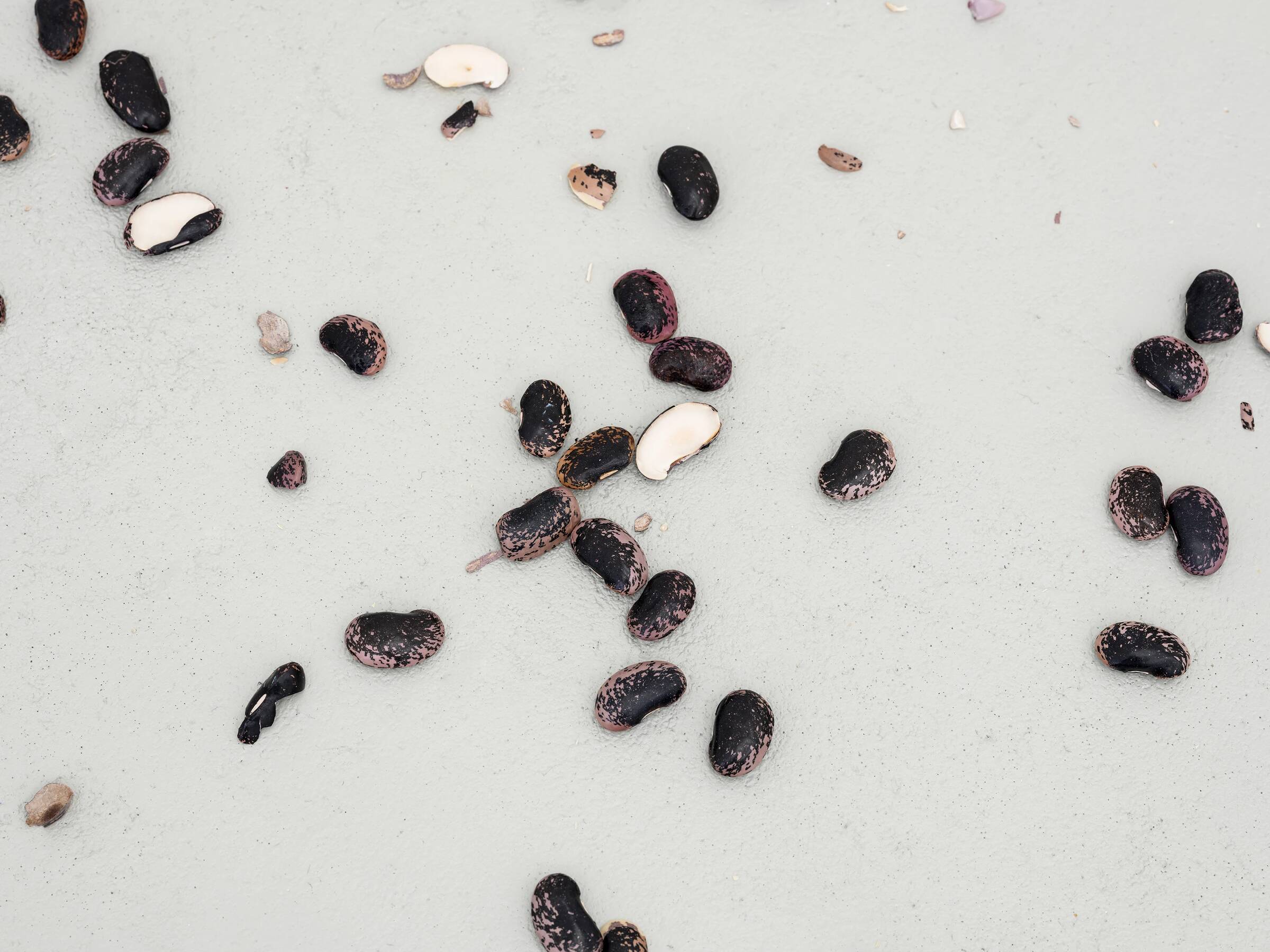 Mehrere verstreute, unterschiedlich große schwarze und weiße Bohnen auf hellem Untergrund.